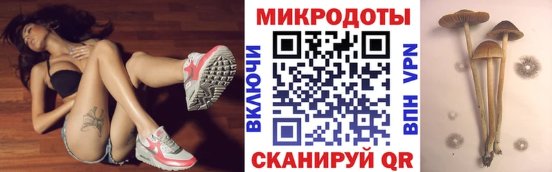 Псилоцибиновые грибы MAGIC MUSHROOMS  Болотное 